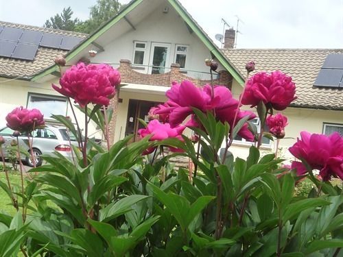 Linchens Bed And Breakfast Felbridge Zewnętrze zdjęcie